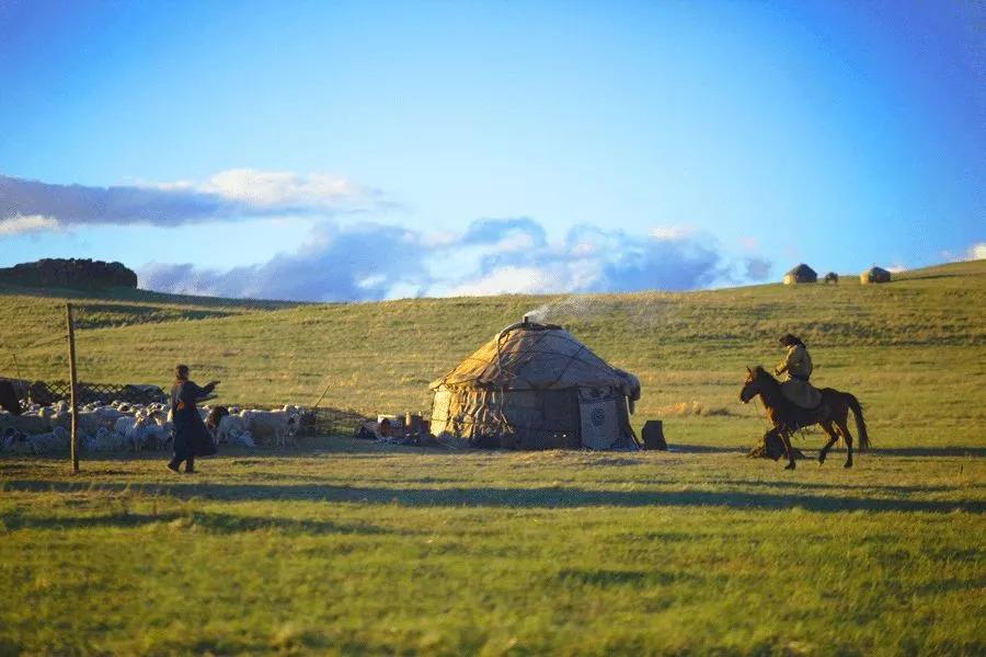 内蒙古草原上的温馨时光,探寻日常故事中的温情与美好